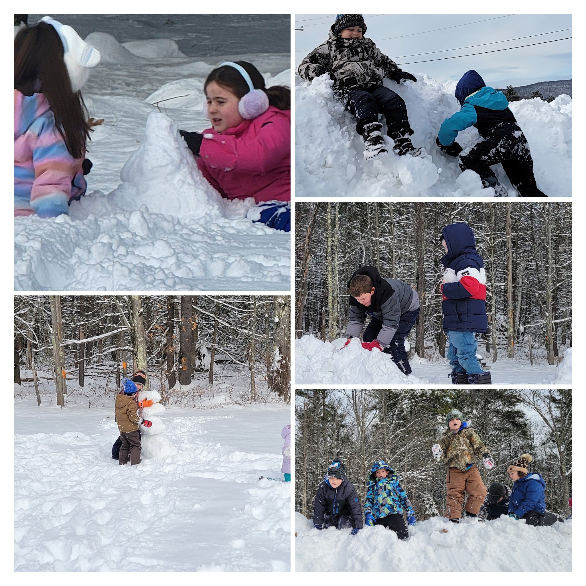 kids playing in the snow